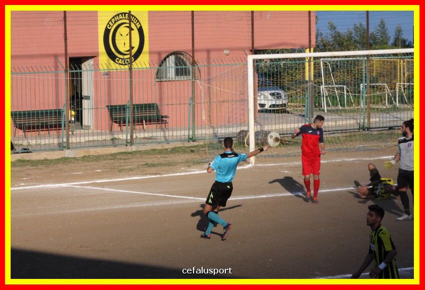 181111 Cepha_Milazzo 130_tn.JPG
